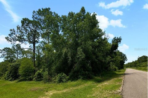 Land in Indian lake estates, Florida № 2225965 - photo 5