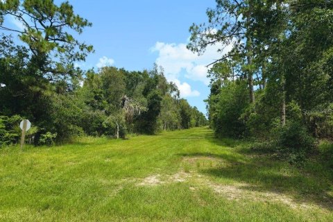 Land in Indian lake estates, Florida № 2225965