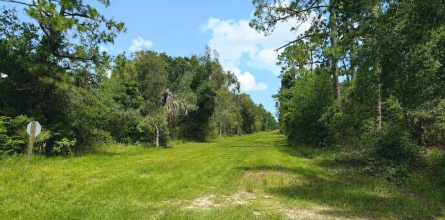Land in Indian lake estates, Florida № 2225965