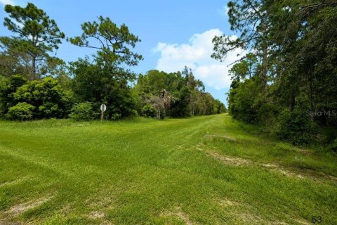 Land in Indian lake estates, Florida № 2225965 - photo 7