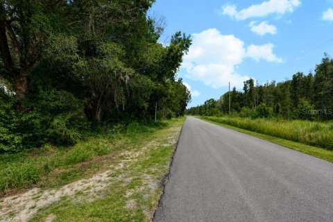 Land in Indian lake estates, Florida № 2225965 - photo 4