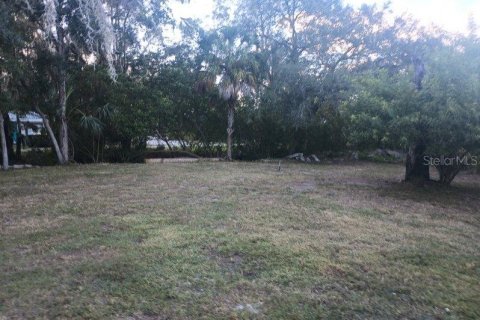 Land in Gibsonton, Florida № 985675 - photo 1