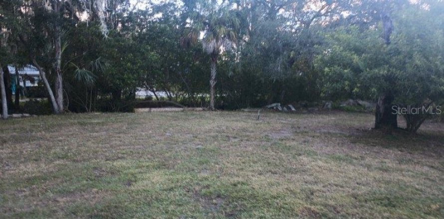 Land in Gibsonton, Florida № 985675