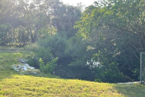 Land in Gibsonton, Florida № 985675 - photo 13