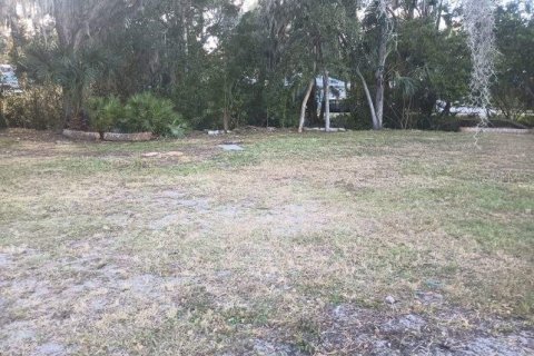 Land in Gibsonton, Florida № 985675 - photo 28