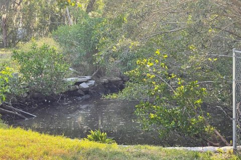 Land in Gibsonton, Florida № 985675 - photo 10