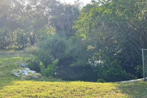 Land in Gibsonton, Florida № 985675 - photo 4