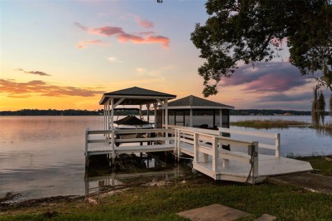 Villa ou maison à vendre à Mount Dora, Floride: 7 chambres, 825.81 m2 № 2408985 - photo 2