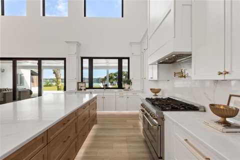 Villa ou maison à vendre à Mount Dora, Floride: 7 chambres, 825.81 m2 № 2408985 - photo 14
