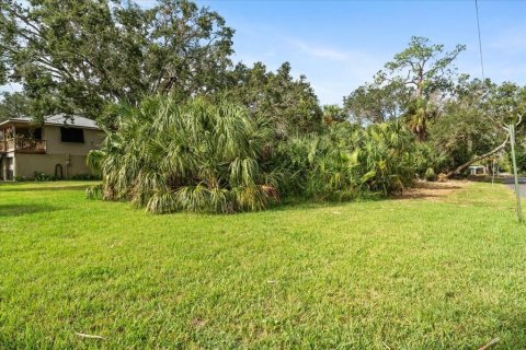 Terreno en venta en Port Richey, Florida № 2166512 - foto 2