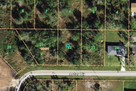 Land in Punta Gorda, Florida № 2160341 - photo 2