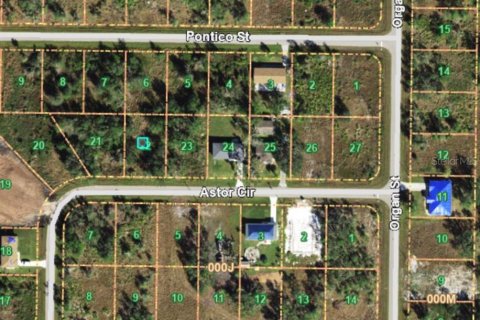 Land in Punta Gorda, Florida № 2160341 - photo 3