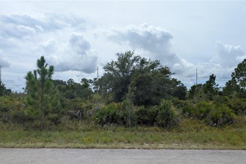 Land in Lake Placid, Florida № 2165350