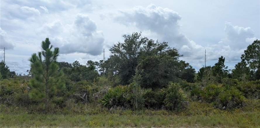 Land in Lake Placid, Florida № 2165350