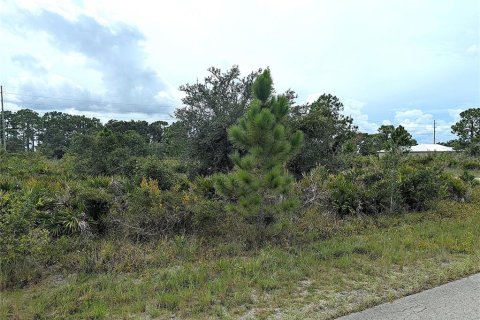 Land in Lake Placid, Florida № 2165350 - photo 2