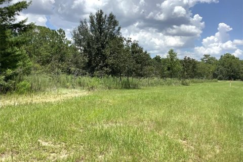 Terrain à vendre à Ocala, Floride № 1839863 - photo 4