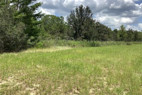 Terrain à vendre à Ocala, Floride № 1839863 - photo 11