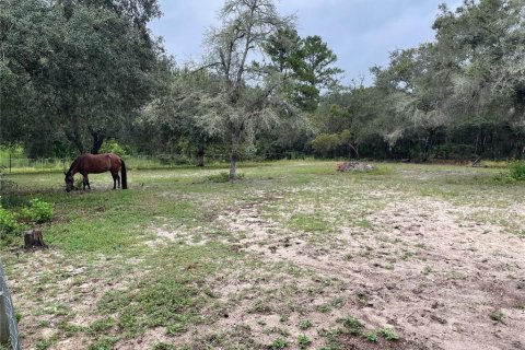 Casa en venta en Ocklawaha, Florida, 3 dormitorios, 1032.05 m2 № 1904886 - foto 22