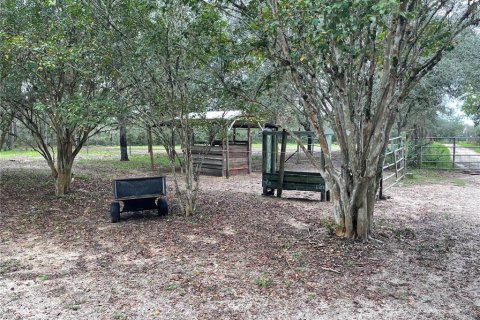 Casa en venta en Ocklawaha, Florida, 3 dormitorios, 1032.05 m2 № 1904886 - foto 20