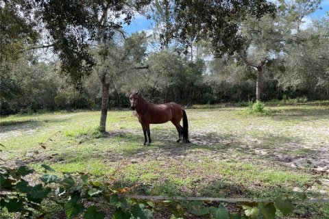 Casa en venta en Ocklawaha, Florida, 3 dormitorios, 1032.05 m2 № 1904886 - foto 21