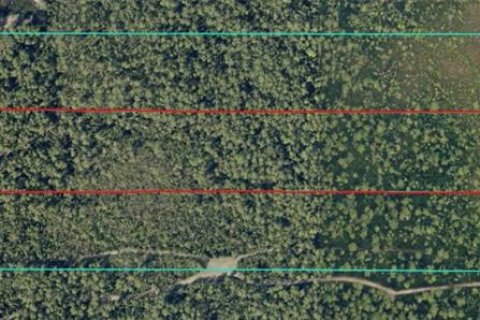Casa en venta en Ocklawaha, Florida, 3 dormitorios, 1032.05 m2 № 1904886 - foto 24