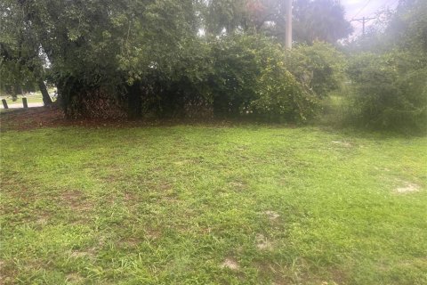 Land in Wesley Chapel, Florida № 2330404