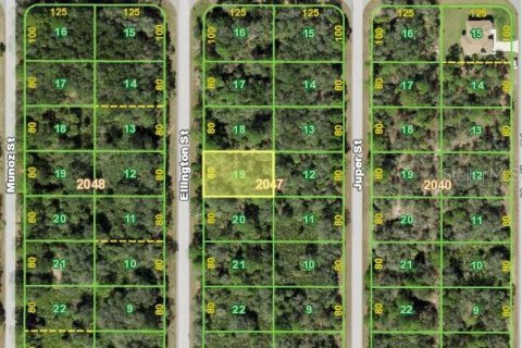 Land in Port Charlotte, Florida № 2162724