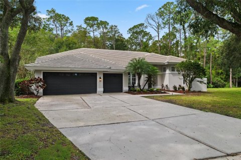 Casa en Palm Harbor, Florida 4 dormitorios, 262.54 m2 № 2384182