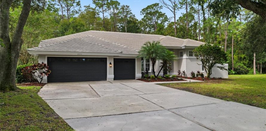 Casa en Palm Harbor, Florida 4 dormitorios, 262.54 m2 № 2384182