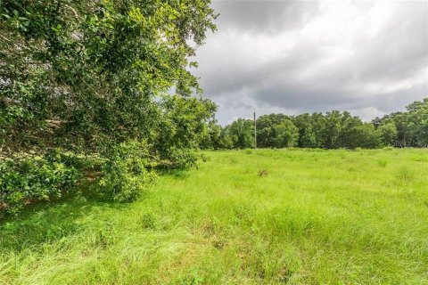 Commercial property in Auburndale, Florida 115.38 sq.m. № 213395 - photo 17