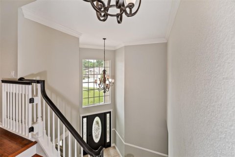 House in Odessa, Florida 5 bedrooms, 312.71 sq.m. № 2396208 - photo 21