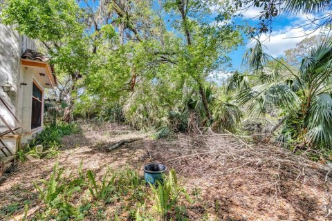 Land in Tampa, Florida № 1724573 - photo 20