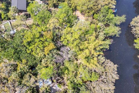 Land in Tampa, Florida № 1724573 - photo 15