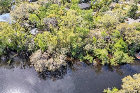 Land in Tampa, Florida № 1724573 - photo 12