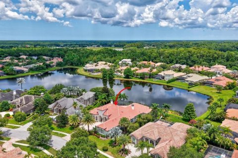 Villa ou maison à vendre à Tampa, Floride: 5 chambres, 460.98 m2 № 2221784 - photo 3