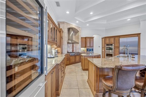 Villa ou maison à vendre à Tampa, Floride: 5 chambres, 460.98 m2 № 2221784 - photo 14