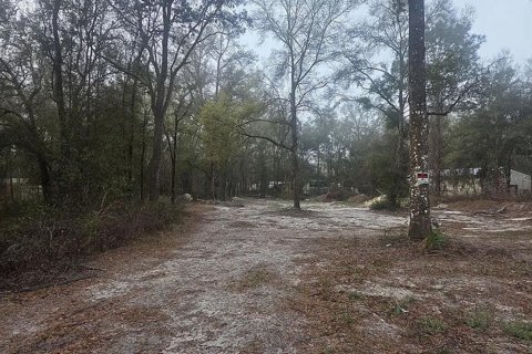 Terrain à Dunnellon, Floride № 2238239