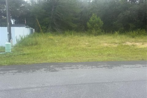 Land in Ocala, Florida № 2349771