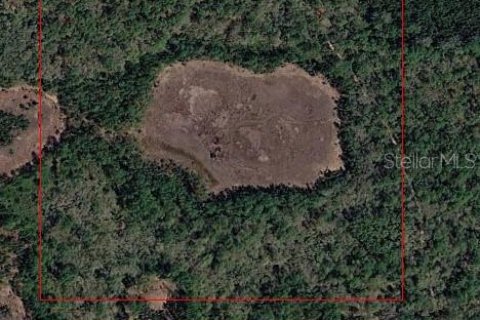 Terrain à Altoona, Floride № 2283580