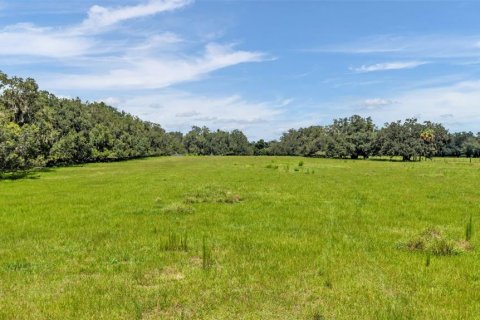 Terreno en venta en Plant City, Florida № 2314164 - foto 2