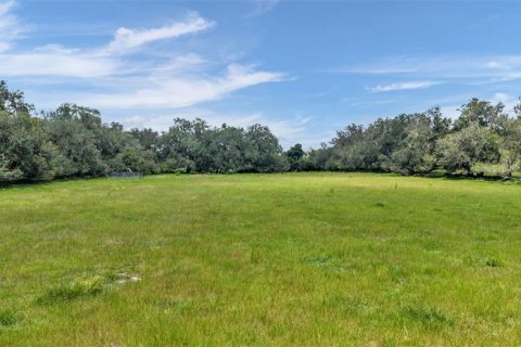Terreno en venta en Plant City, Florida № 2314164 - foto 11