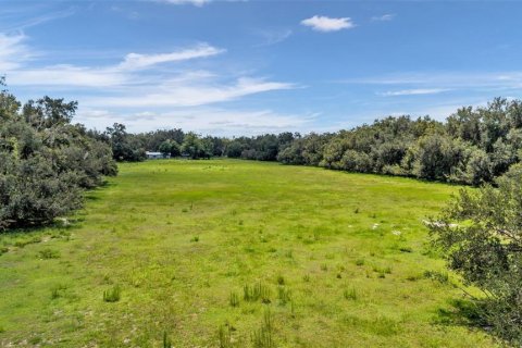 Terreno en venta en Plant City, Florida № 2314164 - foto 12