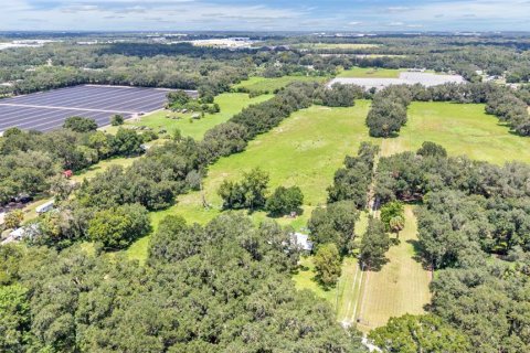 Terreno en venta en Plant City, Florida № 2314164 - foto 5