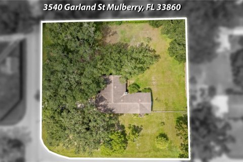 Casa en venta en Mulberry, Florida, 3 dormitorios, 245.54 m2 № 1918716 - foto 5