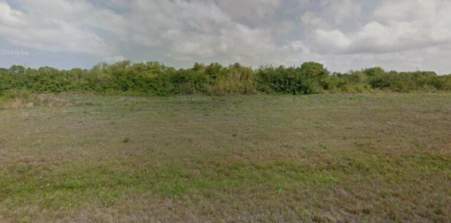 Land in Cape Coral, Florida № 1036045