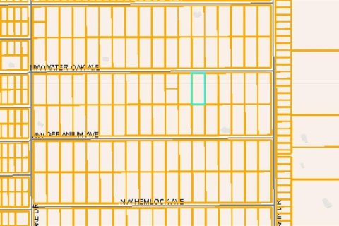 Land in Dunnellon, Florida № 2162462 - photo 2