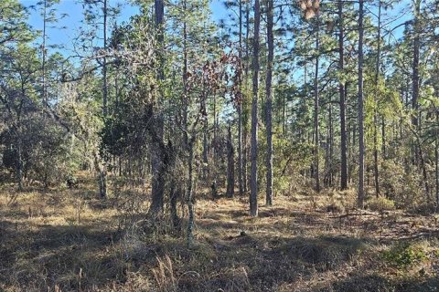 Land in Dunnellon, Florida № 2162462