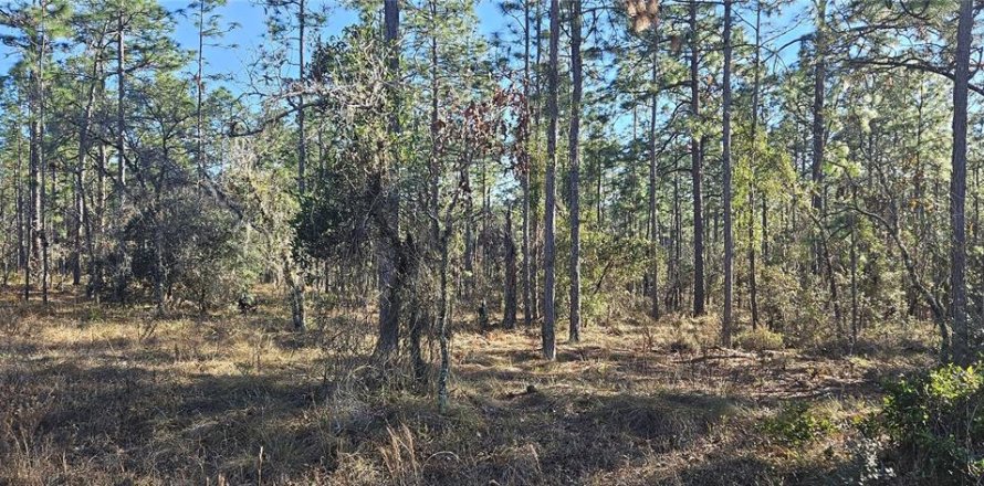 Land in Dunnellon, Florida № 2162462