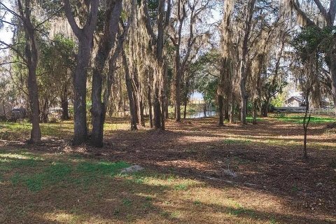 House in Wesley Chapel, Florida 3 bedrooms, 160.72 sq.m. № 2206569 - photo 6