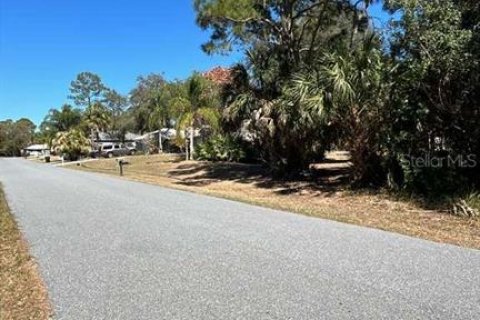 Land in Palm Bay, Florida № 2163895 - photo 2
